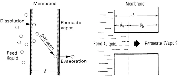 Gambar 2.7. Skema model perpindahan massa proses PV : Model Solution-Diffusion (kiri) dan Model Pore-Flow (kanan) (Feng dan Huang, 1997)  