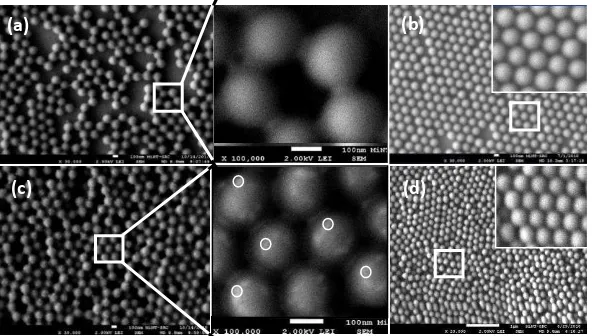Figure 1. FESEM images of surface morphology of Cd metal particles-covered PSNs (a), pristine PSNs (b), Cd metal particles-covered PSNs irradiated by continues laser (c) and pristine PSNs irradiated by continues laser (d)
