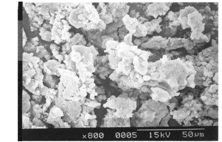 Figure 4. SEM of silica gel obtained from RHA [37]  