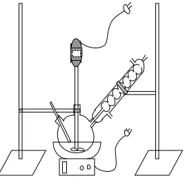 Gambar 1. Skema Pelaksanaan Penelitian 