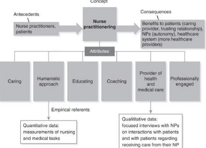 FIGURE 2-1 Model of nurse practitioner practice.