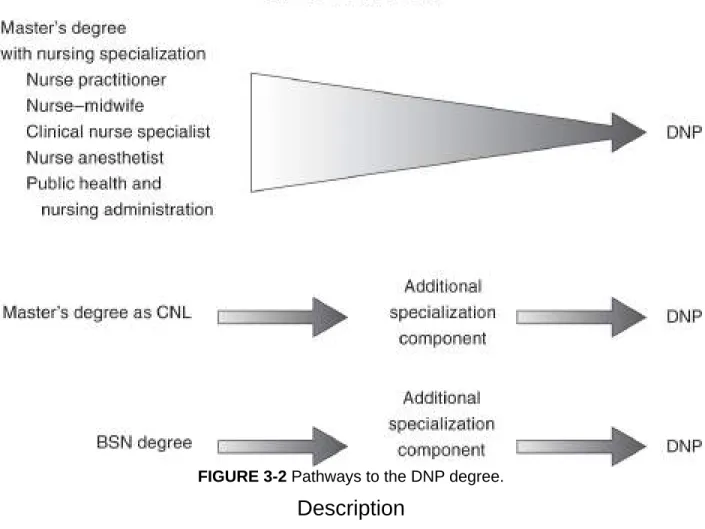 FIGURE 3-2 Pathways to the DNP degree.