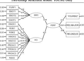 Figure 6Two-Group Structural Model: YOUNG Only