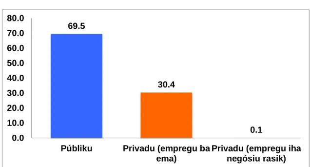 Figura 9  hatudu katak maioria respondente  hala’o serbisu públiku (69,5%). No menus  liu mak  privadu  (empregu iha negósiu rasik) (0,1%)