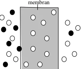 Gambar 2.8 Membran tak berpori (Mulder, 1996)