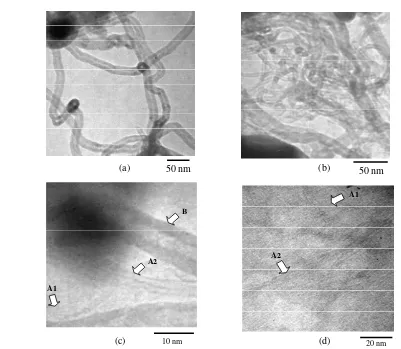 Fig. 3. TEM images of CNTs formed on the catalysts after 1hr reaction with methane. (a) NiO/SiO2 and (b-d) NiO/Al2O3 [8]