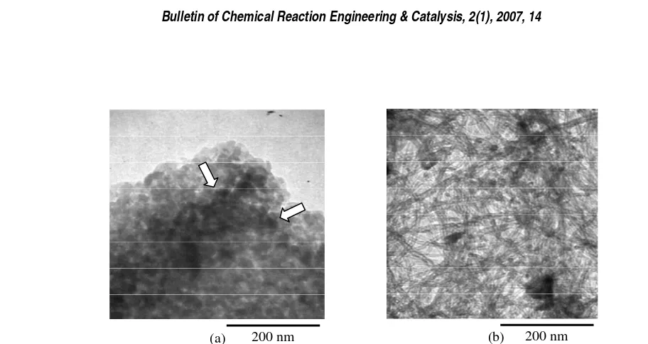 Fig. 5. TEM images of Y-junction CNTs grown on NiO-CuO-MoO/SiO2 catalyst [10].  