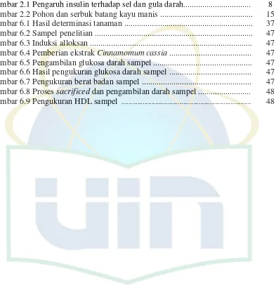 Gambar 2.1 Pengaruh insulin terhadap sel dan gula darah...............................