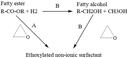 Figure 1. Direct ethoxylation from fatty ester (A) and indirect ethoxylation from fatty aklcohol (B) 