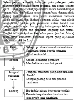 Gambar 4.1 Luas areal Tembakau dari tahun 2009-2013Sumber : BPS Kabupaten Sumenep