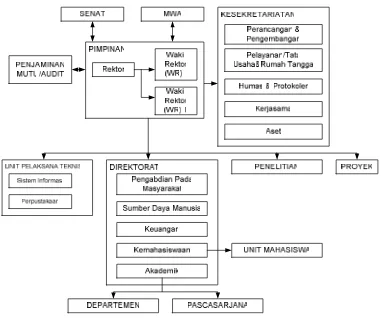 Gambar 2.1  : Struktur Organisasi Perguruan Tinggi Negeri 