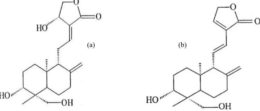 Figure 1. Molecular structure of  (a) andrographolide and (b) deoxyandrographolide [3] 