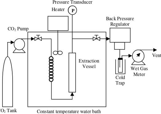Fig. 2. The supercritical fluid extraction unit