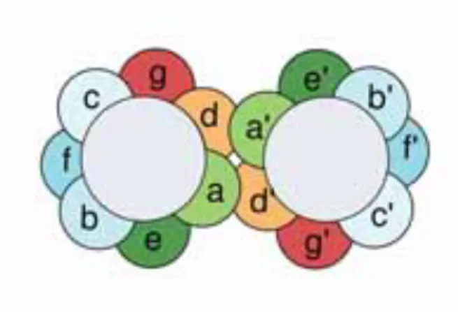 Figure 1. The gray circles represent the central cores of  two packed helices and the coloured balls represent  side chains