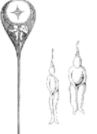 Gambar 1. Struktur miniatur kecil manusia yang disebut homunkulus  oleh Nicolas Hartsoeker pada tahun 1694