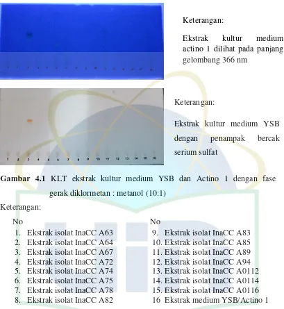 Gambar 4.1 KLT ekstrak kultur medium YSB dan Actino 1 dengan fase 
