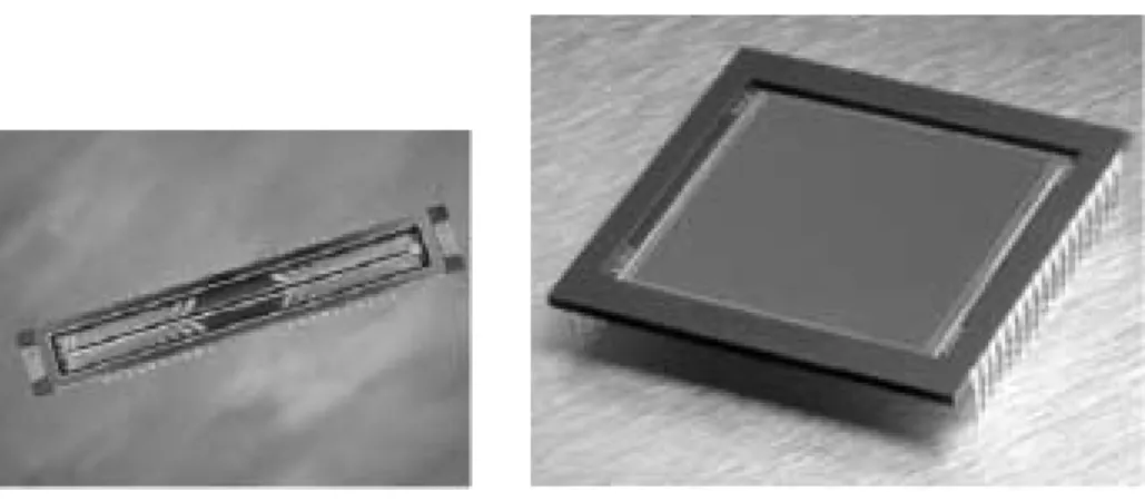 Figure 3.1: Example of 1D sensor element and 2D array sensor.