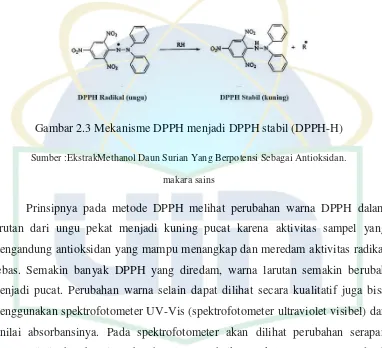 Gambar 2.3 Mekanisme DPPH menjadi DPPH stabil (DPPH-H) 