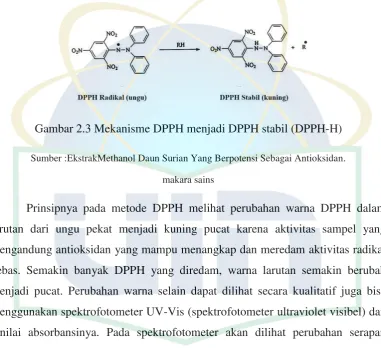 Gambar 2.3 Mekanisme DPPH menjadi DPPH stabil (DPPH-H) 