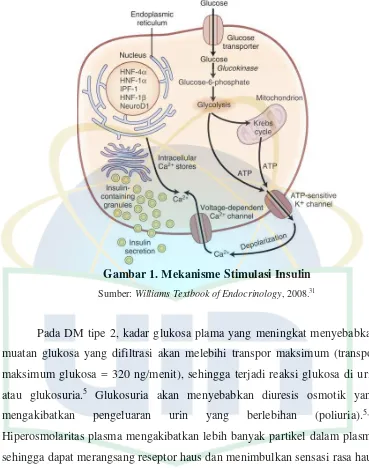 Gambar 1. Mekanisme Stimulasi Insulin 