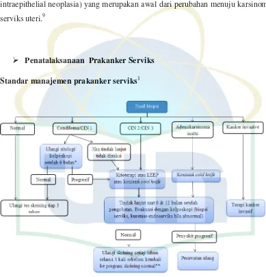 Gambar 2.2 Standar manajemen prakanker serviks