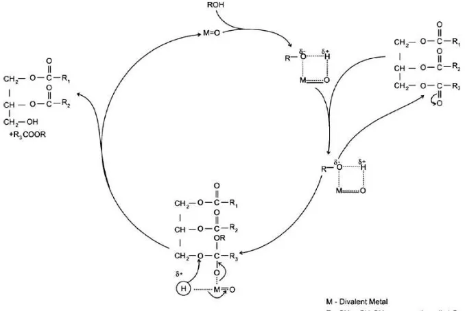 Gambar 1.10:  Mekanisme reaksi transesterifikasi yang dikatalisasi oleh asam. 