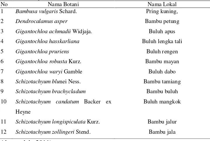Tabel 3. Jenis-jenis Bambu di Sumatera 