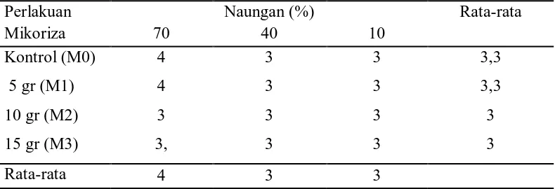 Tabel 4. Rataan pengaruh naungan dan mikoriza terhadap jumlah daun (helai)   