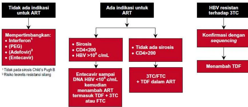 Gambar 6. Algoritme penatalaksanaan HBV pada koinfeksi HIV di Indonesia13 