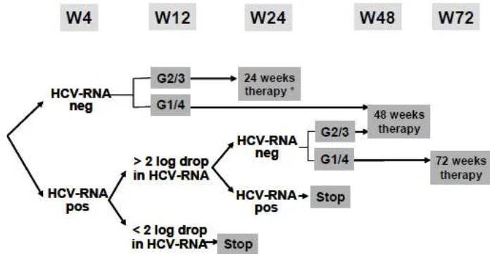 Gambar 9. Durasi optimal yang dianjurkan untuk terapi HCV pada pasien koinfeksi HIV-HCV 11 