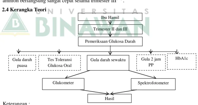 Gambar 2.3Kerangka Teori   2.5 Hipotesis 