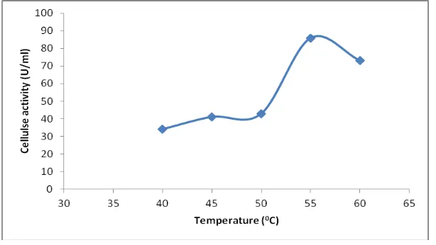 Figure 2. Effect of sodium alginate concentration on immobilized cellulase activity 