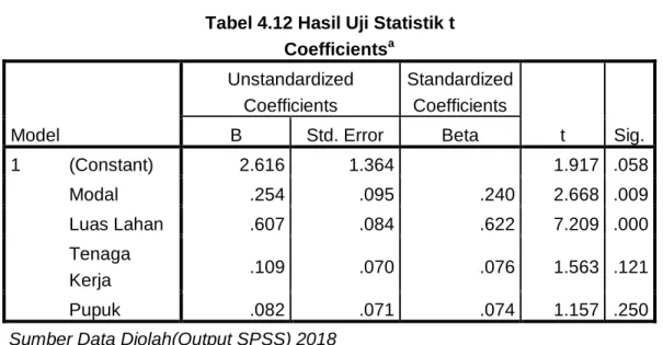Tabel 4.12 Hasil Uji Statistik t     Coefficients a