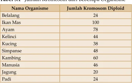 Tabel 5.1   Jumlah Kromosom dari Beberapa Organisme