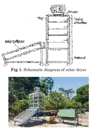 Fig 1. Schematic diagram of solar dryer 