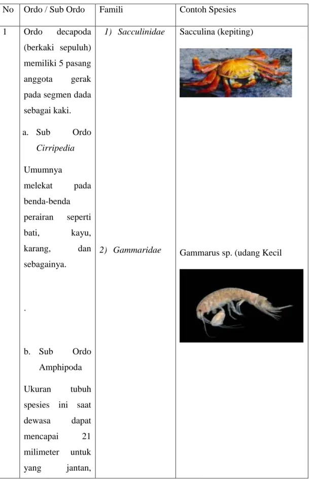 Tabel 2.2 Sistematika yang merupakan bagian dari kelas Crustacea  No  Ordo / Sub Ordo  Famili   Contoh Spesies  