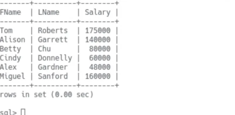 FIGURE 5.59  User roberts reading salary data with the newly added privilege.