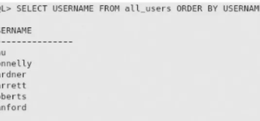FIGURE 4.18  Showing the complete list of database users and their hosts in Oracle.