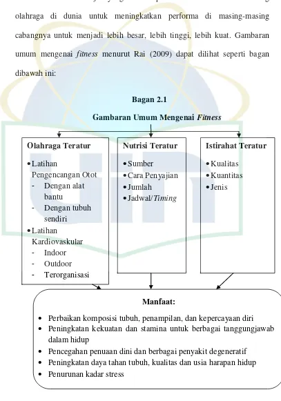 Gambaran Umum Mengenai Fitness 