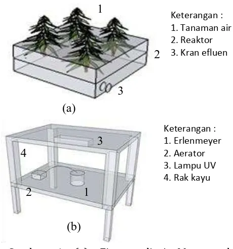 Gambar  1 (a) Fitoremediasi Menggunakan Tanaman Air dan (b) Kultivasi Mikroalga 