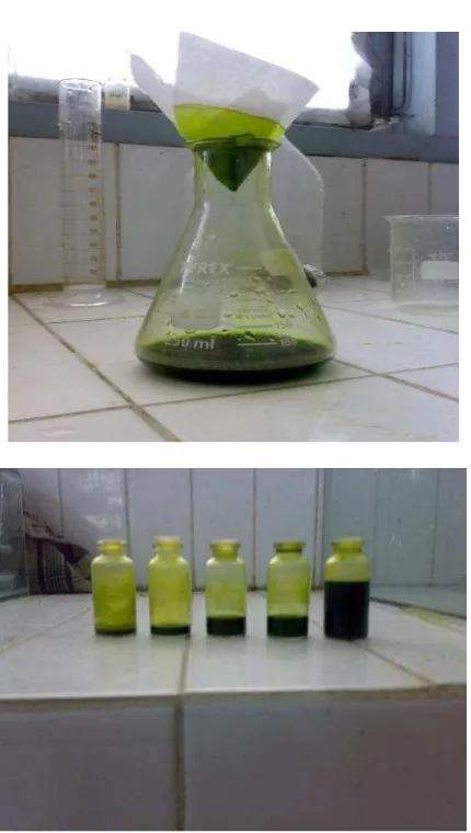 Fig. 9 Biodiesel products from microalgae 