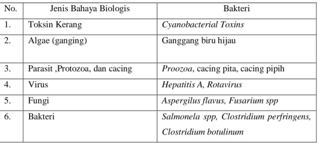 Tabel 2.5 Jenis – Jenis Bahaya Kimia Pada Makanan  Bahan Kimia Dalam Produk Makanan  