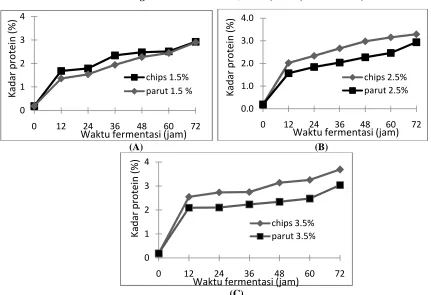 Gambar 2. Hubungan antara waktu fermentasi (jam) terhadap kadar protein dengan penambahan Rhizopus oligosporus 1.5%w/w, 2.5% w/w, 3.5% w/w pada media (A) parut dan (B) chips 