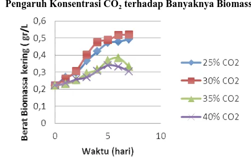 Gambar 4 hubungan waktu kultivasi vs berat biomassa   