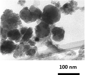 Gambar 6 Citra TEM dari magnetite dengan kondisi sintesis konsentrasi sodium silikat 200 ppm pada  20 V 