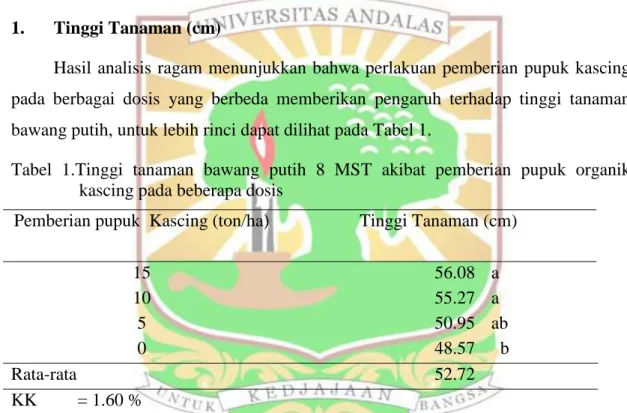 Tabel  1.Tinggi  tanaman  bawang  putih  8  MST  akibat  pemberian  pupuk  organik  kascing pada beberapa dosis 