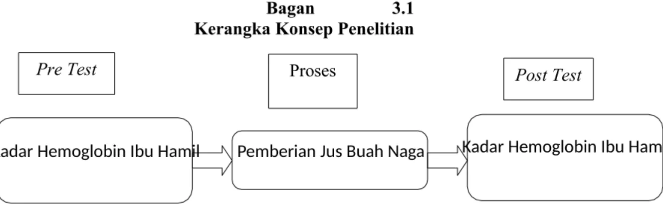 Tabel 3.1  Definisi Konseptual