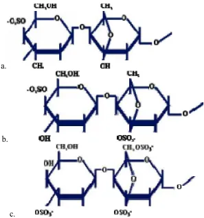 Gambar 3.1: Struktur Kimia 3 Jenis Karaginan(a). Kappa (b). Iota (c). Lambda(Anonim, 2005)