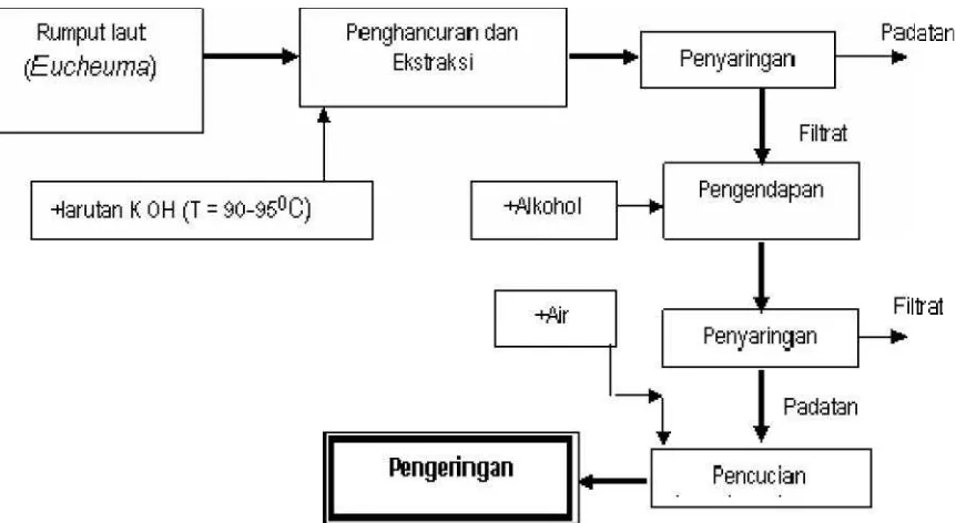 Gambar 3.2: Diagram alir proses produksi karaginan(Prasetyaningrum dan Nur, 2007)