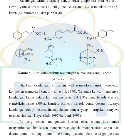 Gambar 1. Struktur-Struktur Kandungan Kimia Rimpang Kencur  